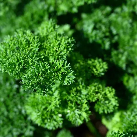 Miravalle 게스트하우스 3*