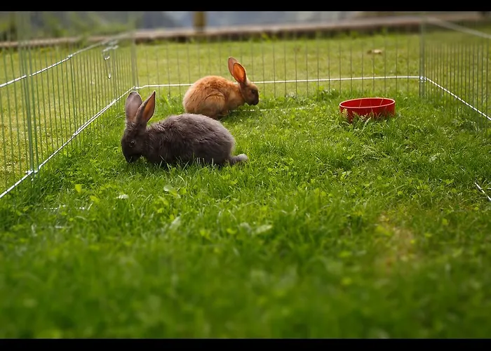 Miravalle Konukevi Brusio